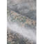 Cassina Abstract Area Rug-29004948