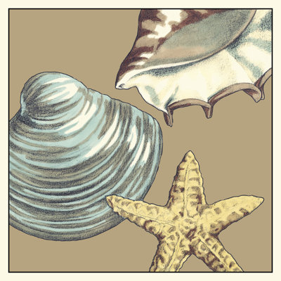 Shell Trio On Khaki IV by Megan Meagher - Wrapped Canvas Painting