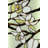 Magnolia LED Flush Mounted Sconce