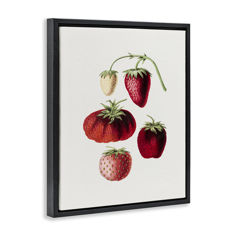 «Natural Berries Study», art mural encadré flottant par lettres et lignes, Cadre flottant noir de jais, H 21 po x l 17 po