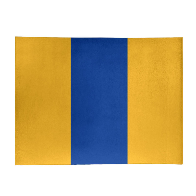 Chenille Indoor Rug, Rectangle 9' x 12'