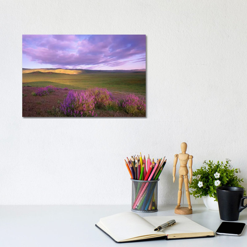 Large-Leaved Lupine In Bloom Overlooking Grassland, Carrizo Plain National Monument, California by Tim Fitzharris - Wrapped Canvas Print