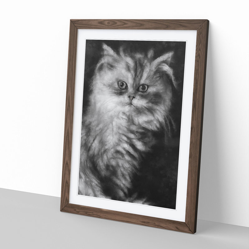 Persian Cat - Framed Print, 48cm H x 36cm W x 2cm D, Walnut Framed