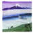 Purple/Green