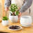 3-Pack Ceramic Plant Pots-1262237218