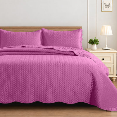 Ensembles de couvre-lit simple en relief élégants avec literie en microfibre matelassée douce