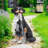Garden Statue,bernese Mountain Dog Garden Statue With Solar Lantern – Resin Decor For Patio, Lawn & Outdoor Spaces,outdoor Decor