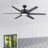 62'' Talbert 6 - Blade Standard Ceiling Fan with Remote and Light Kit Included