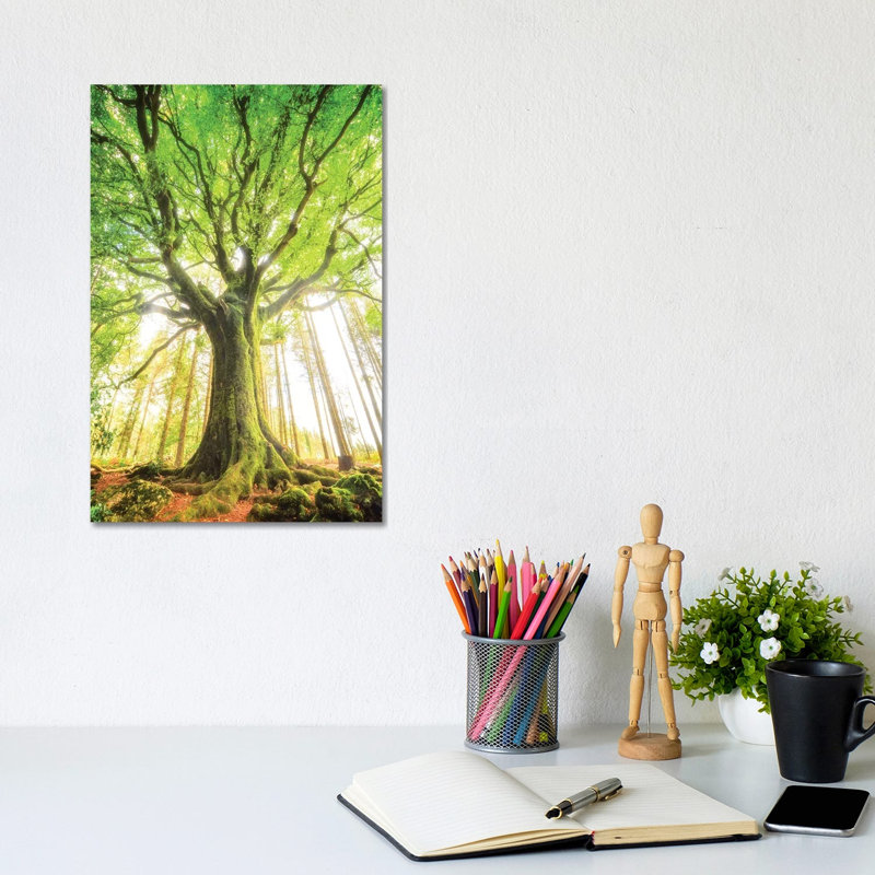 The Big Tree by Philippe Manguin - Wrapped Canvas Print, 30.48cm H x 20.32 W x  1.905cm D