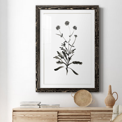 Inky Botanical I - peinture encadrée