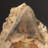 Giant Genuine Megalodon Shark Tooth In Matrix From Indonesia