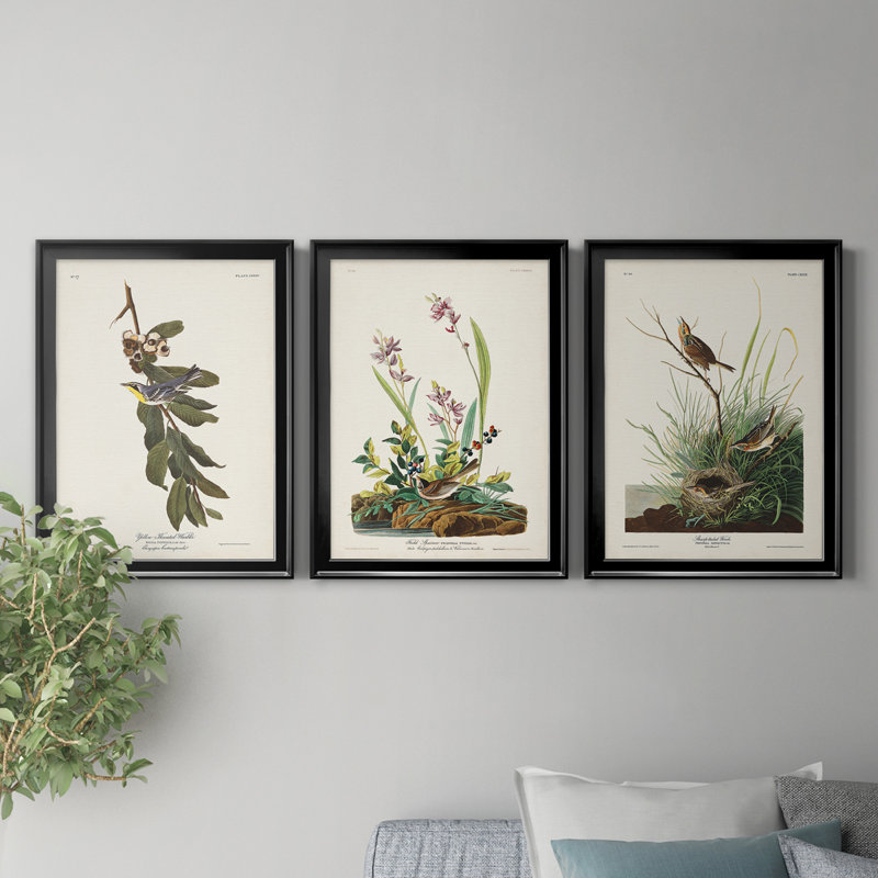 Pl. 85, 85, parabole à gorge jaune - ensemble de 3 impressions sur toile encadrées, H 18,5 po x l 73,5 po x P 1,5 po, Noir