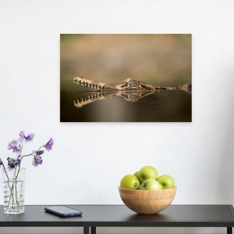 Sinyulong On The Water Contemporary Crocodile Animal Wall Art Print 1 Piece Wrapped Canvas Wall Art, 30.48cm H x 45.72cm W