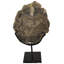 Fossil with Stand Sculpture