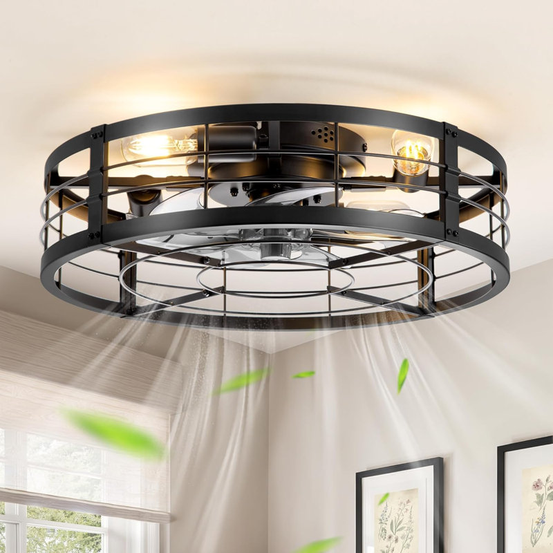 Cage Ceiling Fan
