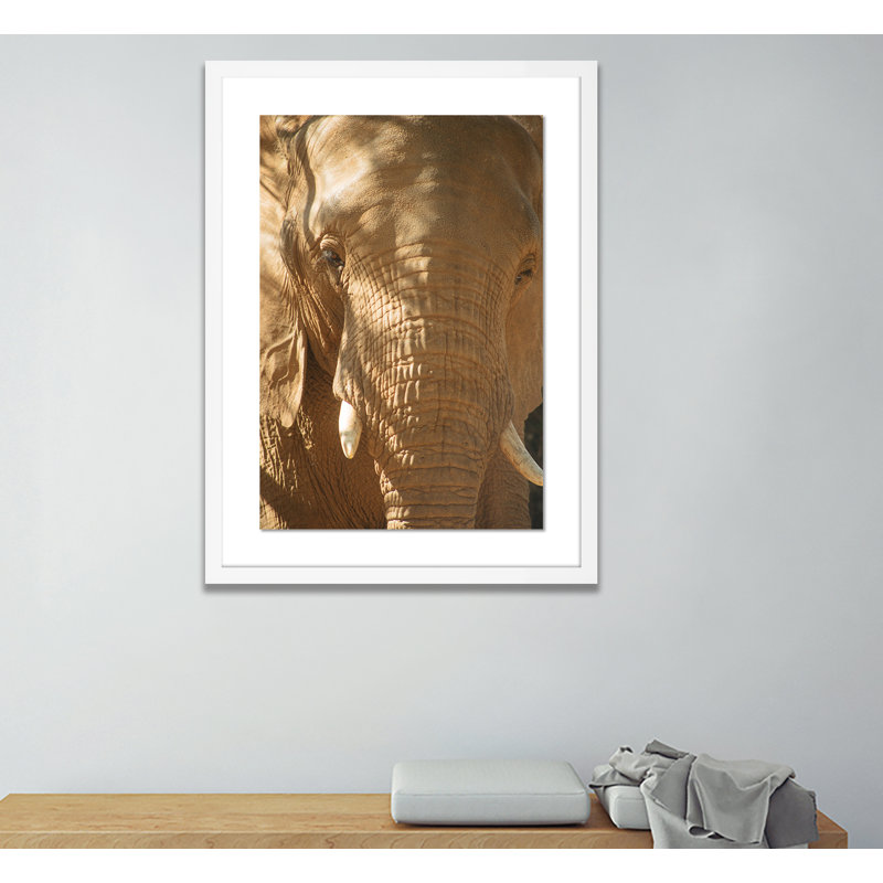 Elephant 2 by Jade Hammer, 40" H x 29" W x 2.5" D, White