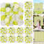Arrangement-716305210