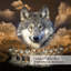 Ensemble d'édredon 3 pièces Wolf Pack Tribe, literie imprimée en 3D avec 1 édredon et 2 taies décoratives, édredon toutes saisons en microfibre brossée double douce-124362471