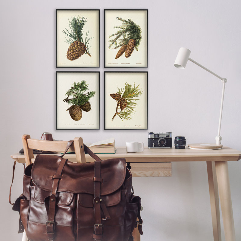  Pinecone, Études latines, ensemble de 4 giclées par Tina Higgins Designs, Inc., H 18 po x l 12 po
