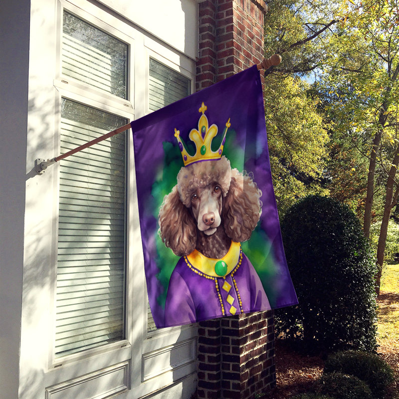 Double Sided 28'' H x 40'' W Polyester Mardi Gras House Flag