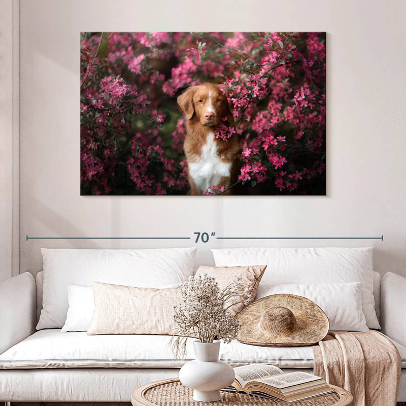 Toller In The Garden