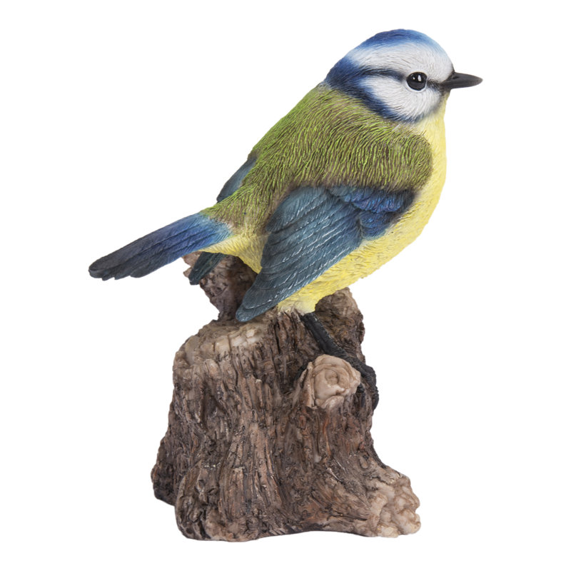 Mésange chantais activé par le mouvement