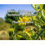 Artsy Quote «I look at échec comme l'engrais pour le succès." Toile tendue par Thomas Jones-262591263