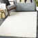 Bjarne Oriental Indoor Rug