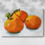 Toile tendue Citrus Grouping I-Gallery-1947073677