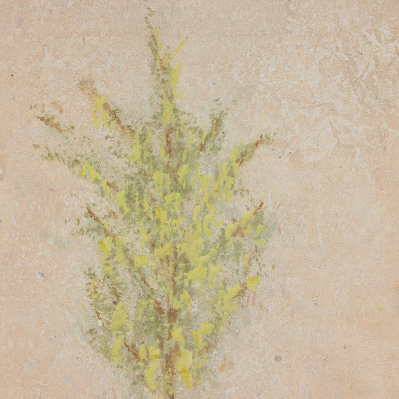 Desert Flora Triptych By Paul Meyer, 24" H x 54" W