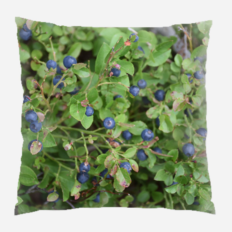  Housse de coussin carré et insert, Synthétique, Extérieur 
