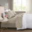 Ensemble de draps 100% coton Cozy-119030957-119030983