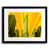 Jaune / gris sélectionné
