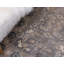 Tapis gris / ivoire / bleu Gwendolyn-466855010