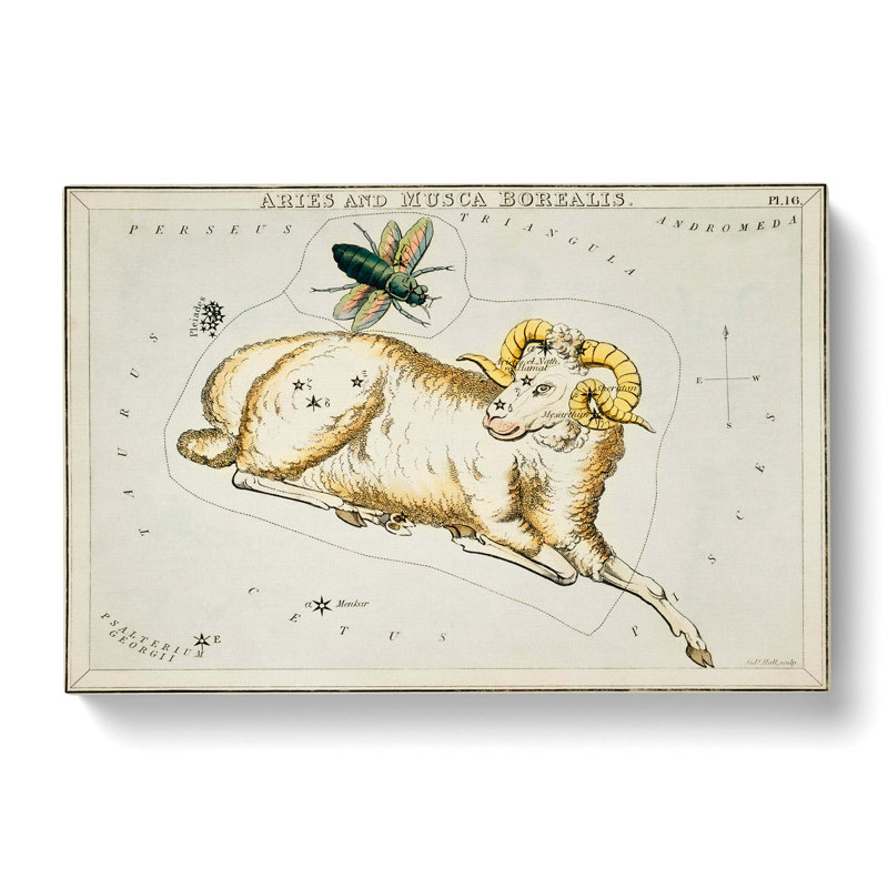 Astronomical Zodiac Chart of the Aries - Wrapped Canvas Drawing Pint - Wrapped Canvas, 35cm H x 50cm W x 3cm D