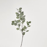 36'' Faux Silver Dollar Eucalyptus Branch