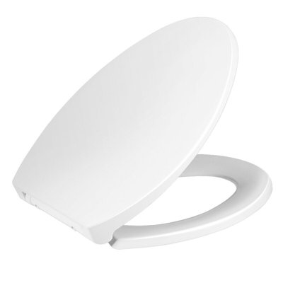 Collett Elongated Toilet Seat and Lid
