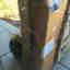 Customer photo 2 of 4