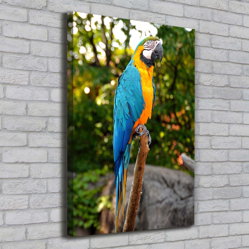 Ara Parrot - Wrapped Canvas Print