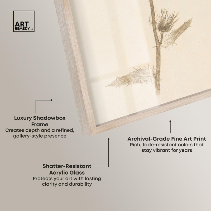 Art botanique Austere Beauty Shadowbox par Art Remedy, H 16 po x l 11 po, Crème, crème
