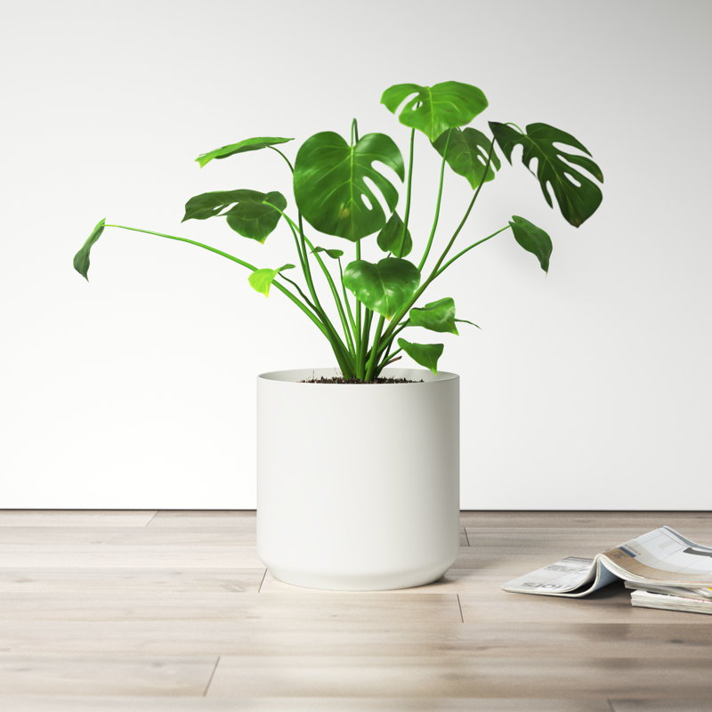 Parsons Handmade Ceramic Pot Planter, White