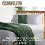 Cosmopolitan Velvet Touch Scatter Cushion-60124934