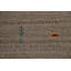 Tapis indien tribal de style Gabbeh 5 x 8