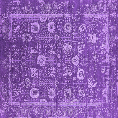 Oriental Indoor Rug