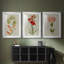 Botanical Array VI - Impression sur mesure encadrée de qualité supérieure - 3 pièces-1276371708