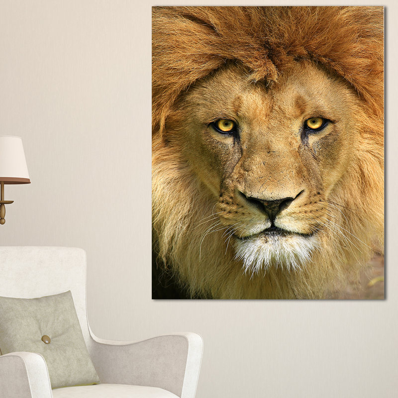 « lion avec visage calme », impression sur toile, H 20 po x l 12 po x P 1po