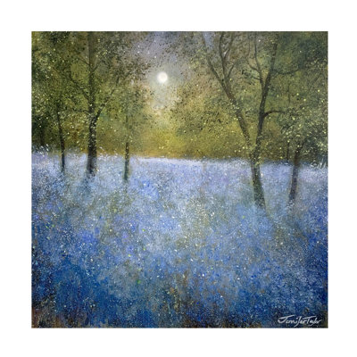 Jennifer Taylor Art Autumn Sapphire Canvas Art
