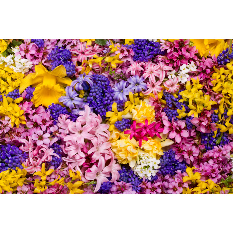 Flowers by Togoshi - Wrapped Canvas Print, 30cm H x 46cm W x 3.8cm D