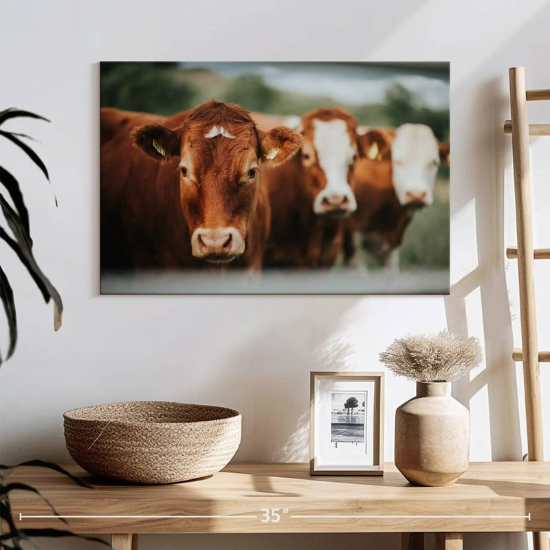 Brampt Brown Cattle, 16" H x 24" W