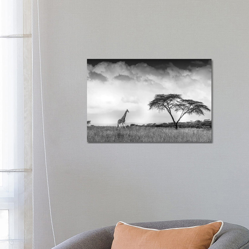 And I Dreamed Of Africa by Jeffrey C. Sink - Wrapped Canvas Print, 45.72cm H x 66.04cm W x 1.91cm D